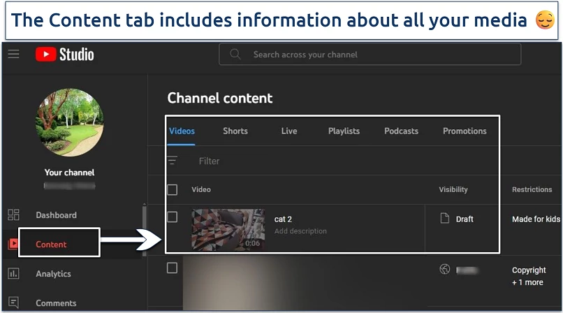 Screenshot of the YouTube Studio Published Content page
