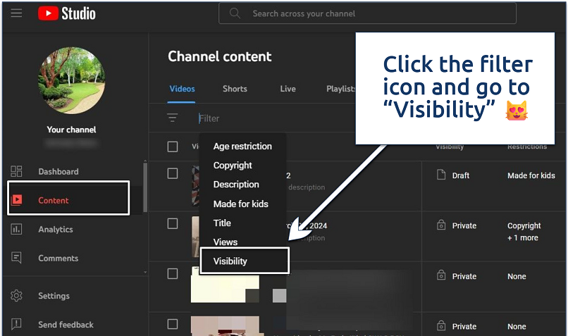 A screenshot of YouTube content filter settings