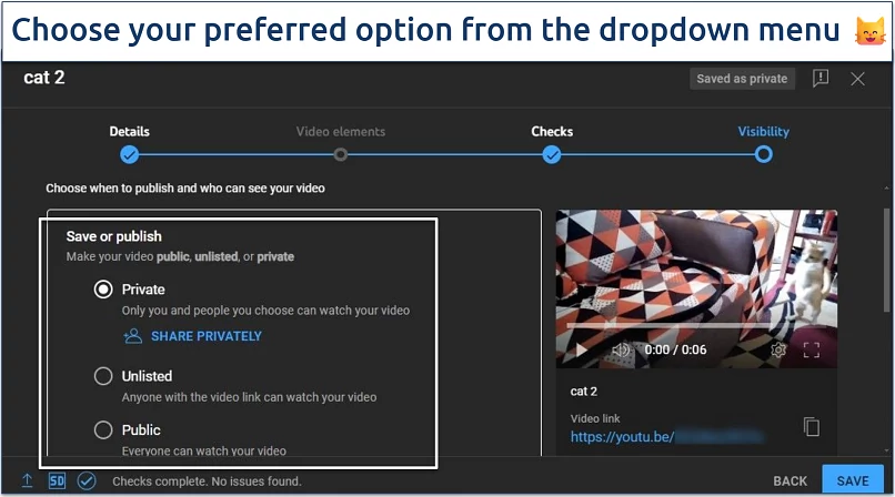 A screenshot of the YouTube Studio video upload visibility settings