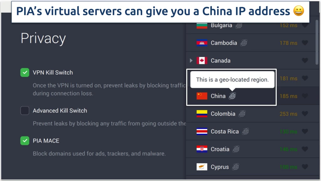 Screenshot of PIA's privacy settings and virtual servers in the app