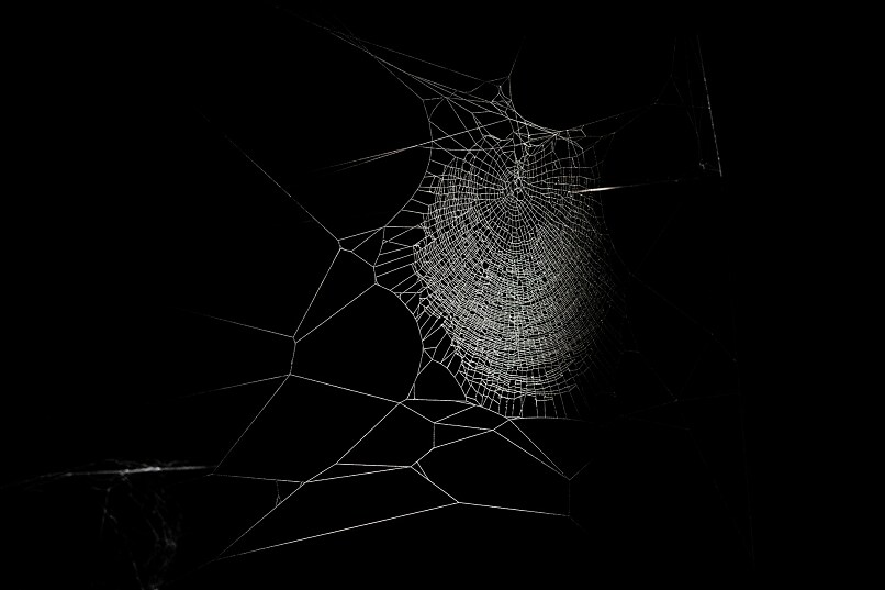 Scattered Spider Hits U.S. Companies With Ransomware Attacks