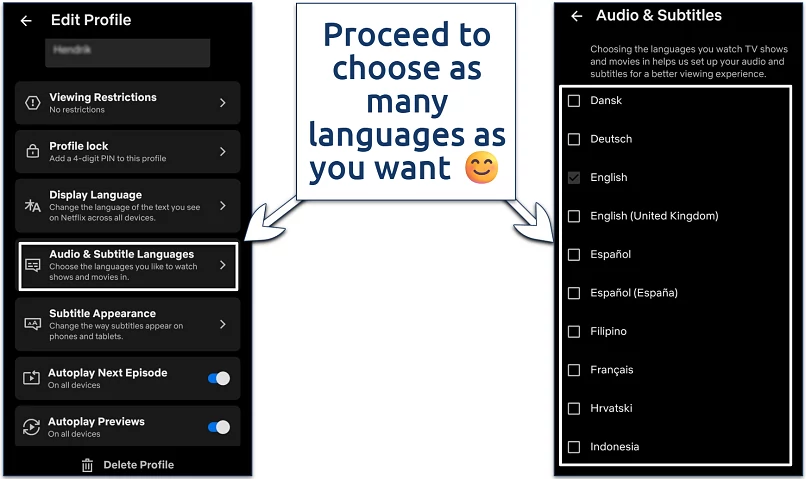 Screenshot of the Netflix mobile app language selection settings